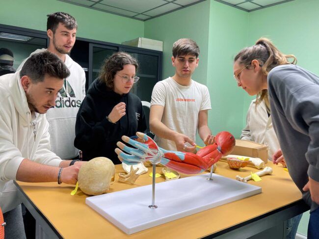 07032032IDMNCS 4º Campeonato de Habilidades Profesionales CEU FP CV
