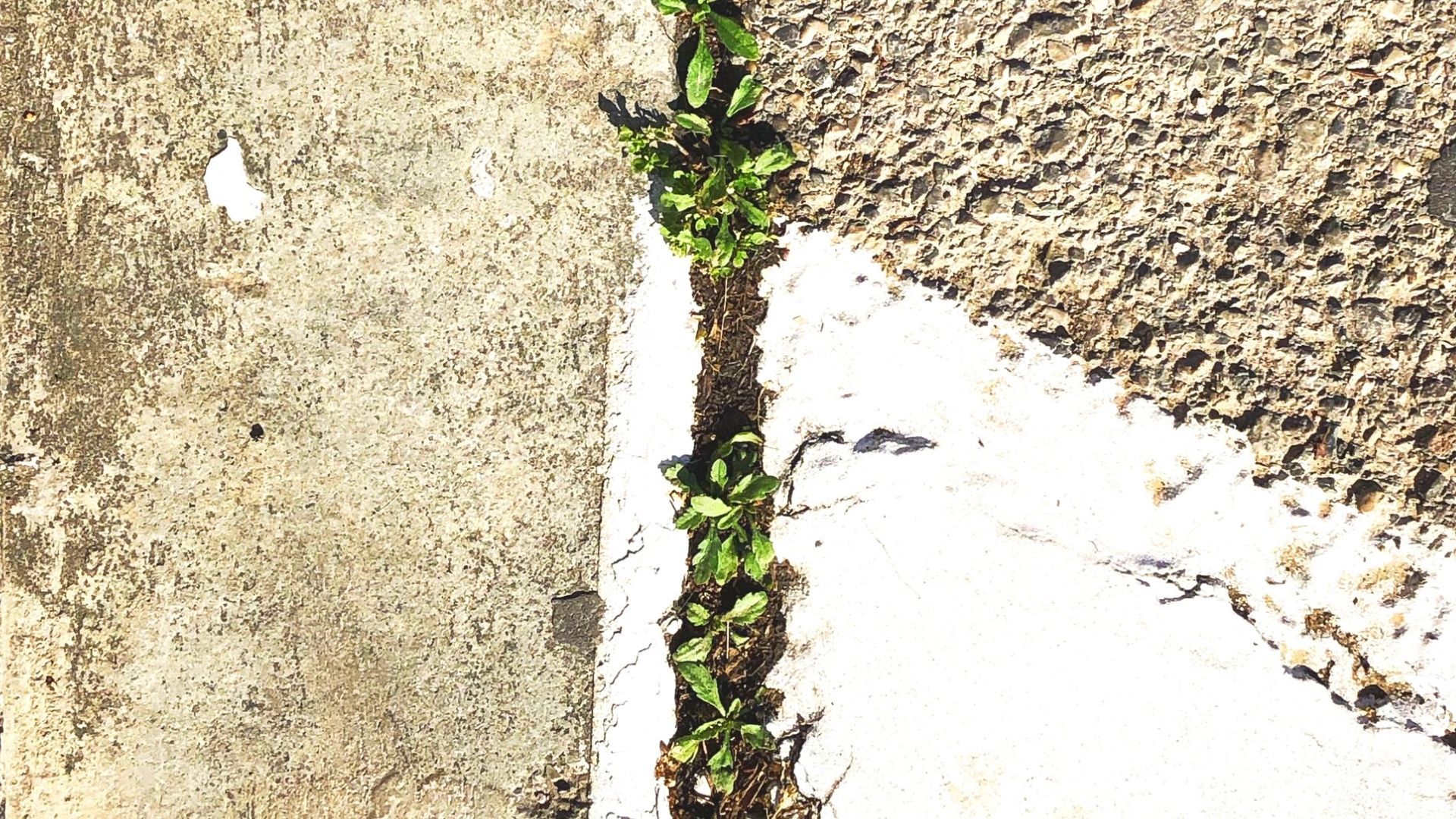 permeable