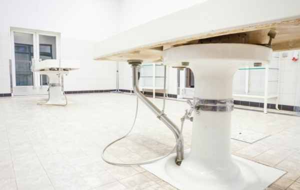 Anatomía Patológica y Citodiagnóstico, un FP para trabajar en un laboratorio