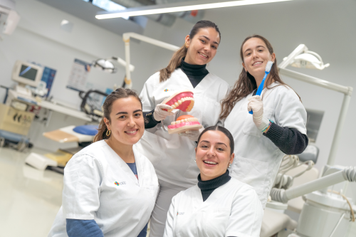 Bucodental-18