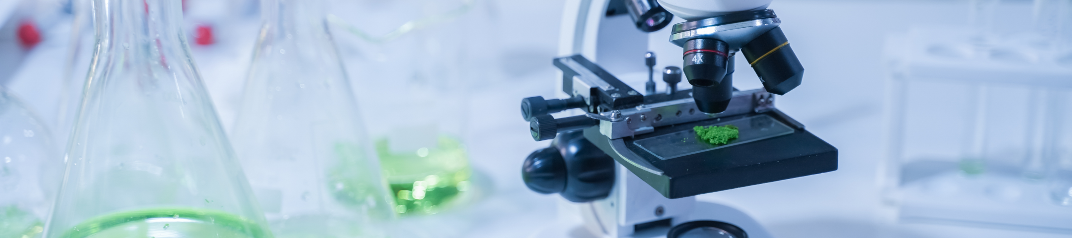 tecnico superior quimica salud ambiental Técnico Superior en Química y Salud Ambiental en Sevilla